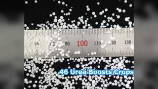تقویت محصولات: 46 درصد کود اوره برای کشاورزان